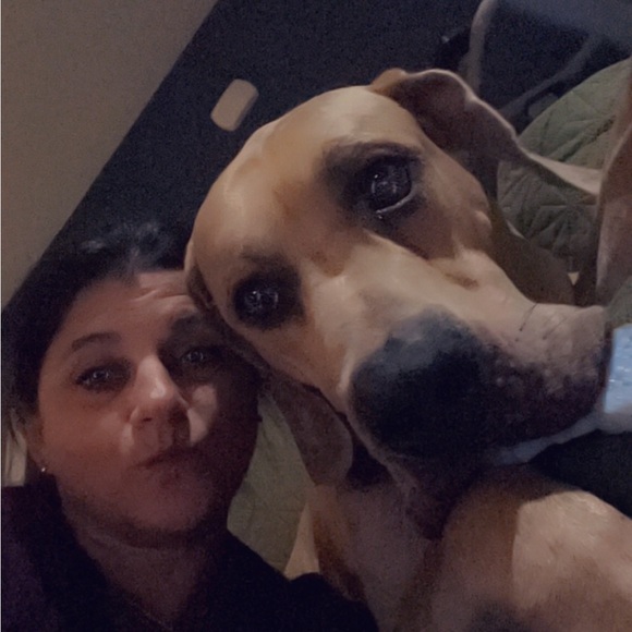 Meet your Posher, Alicia - Picture 2 of 2